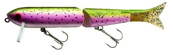 Cormoran Cora-Z Havanna - Regenbogenforelle